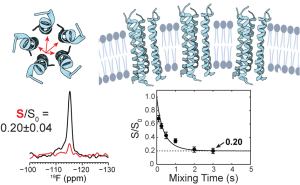 toc.eoligo