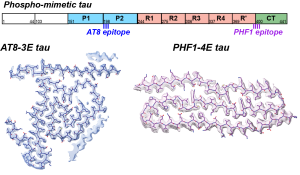 toc-3e4etau