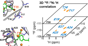 toc-v3-pd