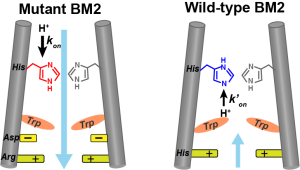 toc-gdrchan