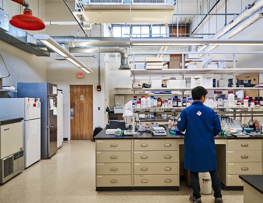 Hong Lab – Hong Lab MIT