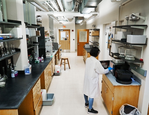 Hong Lab – Hong Lab MIT